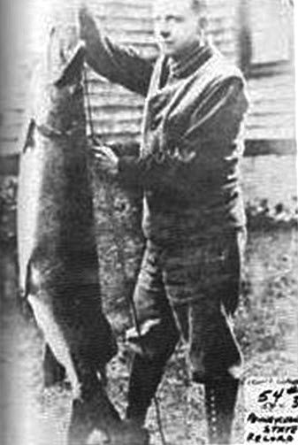 Record-setting Muskellunge